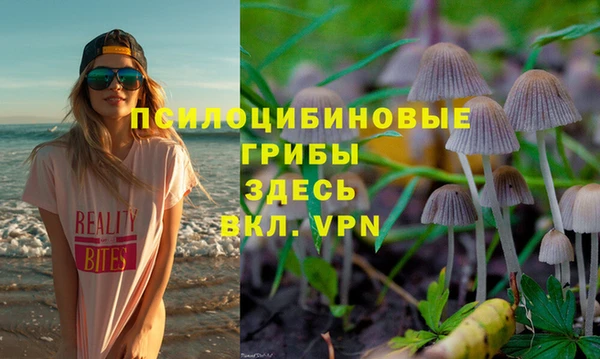 МДПВ Алексин