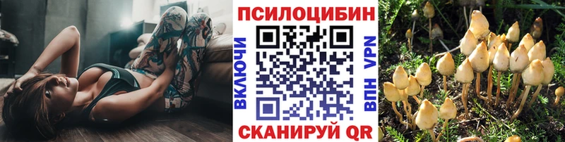 Псилоцибиновые грибы прущие грибы  где можно купить наркотик  Люберцы 
